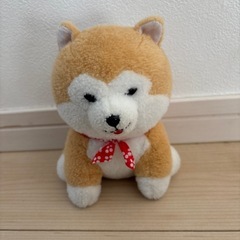 犬のぬいぐるみ‼️
の画像