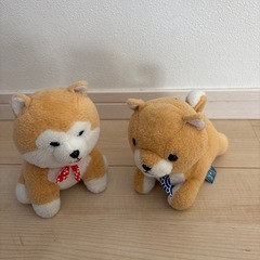 犬のぬいぐるみ‼️
の画像