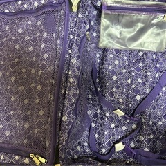キャリーケース　0円
の画像