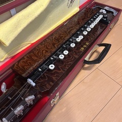琴　楽器　の画像