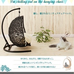 ペット用 ハンキングチェア の画像