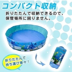プール 空気入れ不要の画像