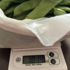 受け渡し予定者決まりました！取りに来れる方限定です。ささぎの画像