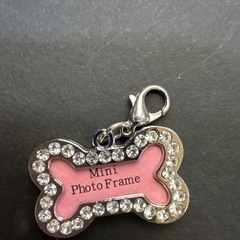 犬猫用骨型チャーム