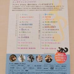 動物　歌　DVD  2枚入り 子供用の画像
