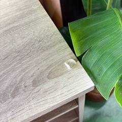 収納棚(商品番号:13537)の画像