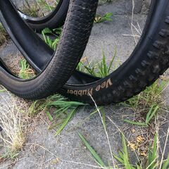 ☆一台でなんでもできる！☆ 164Bikes トライアル ストリートトライアル マウンテンバイクの画像