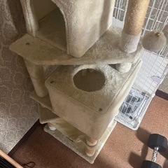 キャットタワー
の画像