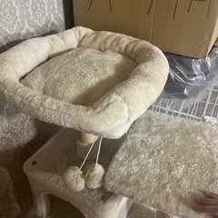 キャットタワー
の画像