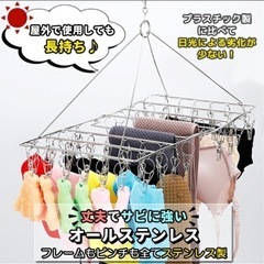 ピンチハンガー　オールステンレス　新品　ピンチ52個の画像