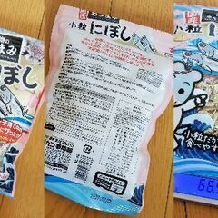 ハムスター いろいろの画像