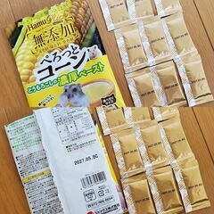 ハムスター いろいろの画像