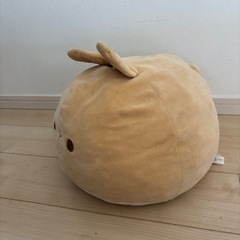 うさぎのぬいぐるみ‼️
の画像