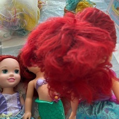 Ariel の画像