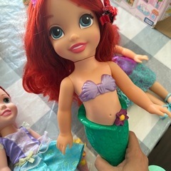 Ariel の画像