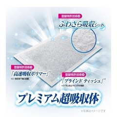 デオシート プレミアム レギュラー84枚入りの画像