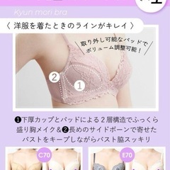 新品未使用 ワコール AMPIHI D75 3色セットの画像