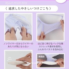新品未使用 ワコール AMPIHI D75 3色セットの画像