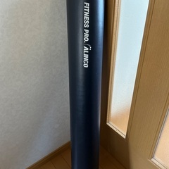 ストレッチポール？の画像