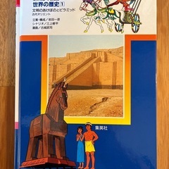 世界の歴史セット売りの画像