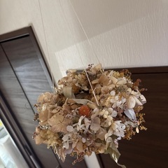 ドライフラワー？の画像