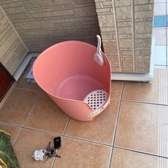 ねこトイレの画像