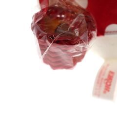 【希少】ハローキティ　ぬいぐるみ　どんぐり　秋　レトロ　サンリオの画像