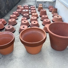 【無料】植木鉢お譲りします（R7.7/29～）の画像