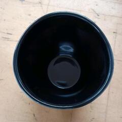 0729-117 カップの画像