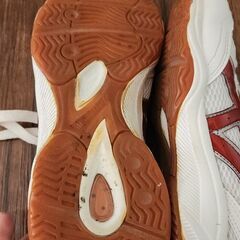 24、5cm 上履き、体育館シューズ の画像