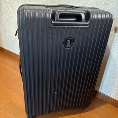キャリーの画像
