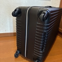 キャリーの画像
