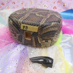 新品未使用二日間限定　11.980円　沖縄三線専用　蛇皮強化(二重張)型チーガと水牛爪Mサイズセットの画像
