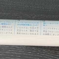 くもん　大判なぜなぜカレンダー　2024年版の画像
