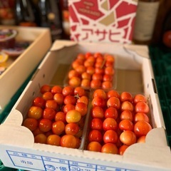最終入荷！余市産🍒南陽大粒の3L✨秀品の画像