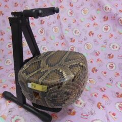 新品未使用17.500円　沖縄三線専用　蛇皮強化(二重張)型チーガと金属台セットの画像