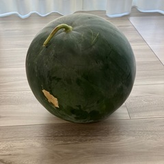 【決まりました】大玉スイカ　の画像