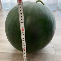 【決まりました】大玉スイカ　の画像