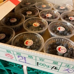 【在庫5P】最終入荷！余市産🫐ブルーベリー入荷しました☆の画像