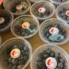 【在庫5P】最終入荷！余市産🫐ブルーベリー入荷しました☆の画像