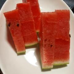 種まで食べれるスイカ①の画像