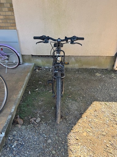 ⬛️(表示価格より3000円引き)1PANGAEA(パンゲア) CONTENDER コン