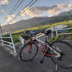 急ぎの方に割引します！ミヤタ自転車の画像