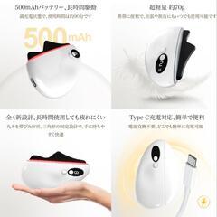 未使用　カッサ　美顔器の画像
