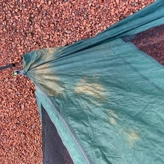 Coleman oasis screen UV PROの画像