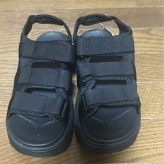タグ付き⭐️グランド コロニーストラップ 3ベルトスポサン 厚底 シャーク/ Mの画像