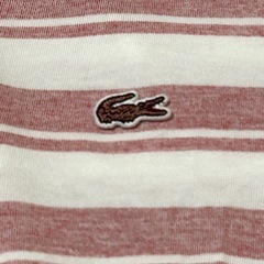 赤ワニ刺繍 LACOSTE ラコステ ボーダー 半袖 ポロシャツ メンズ XS ボーダー 赤 白
の画像
