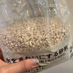 鑑賞魚用砂利　差し上げます の画像