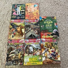 サムネイル