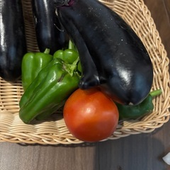 【終了】7/29収穫、訳あり野菜+ジャガイモ②の画像